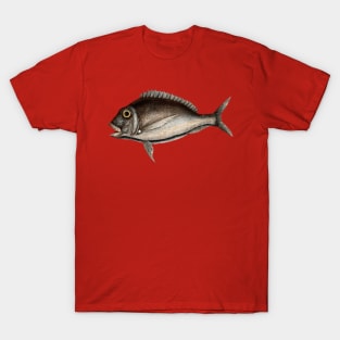 Porgy (Aurata Bahamensis) T-Shirt